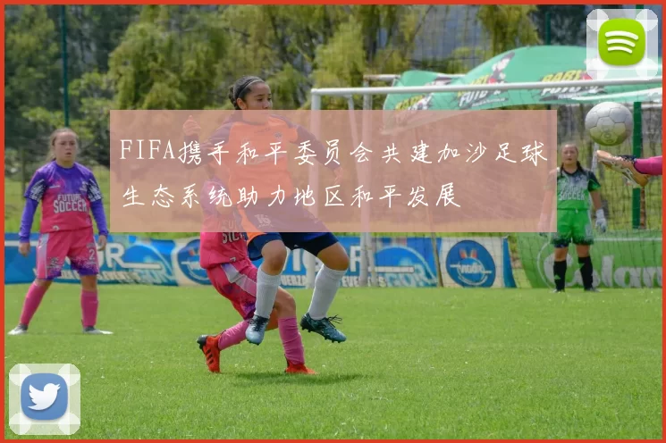 FIFA携手和平委员会共建加沙足球生态系统助力地区和平发展