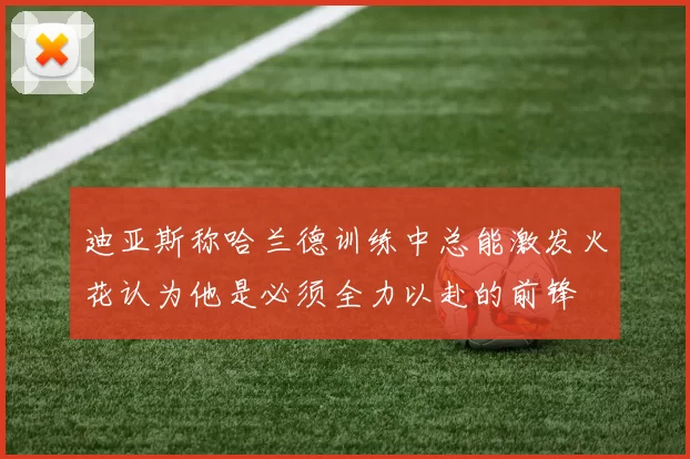 迪亚斯称哈兰德训练中总能激发火花认为他是必须全力以赴的前锋