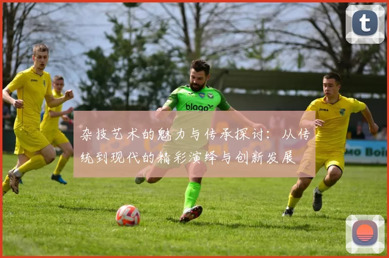 杂技艺术的魅力与传承探讨：从传统到现代的精彩演绎与创新发展